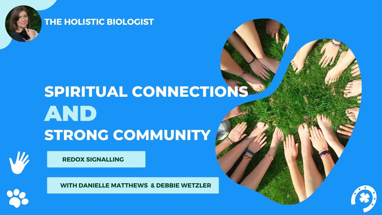 Debbie Wetzler, Danielle Matthews, Changing Healthcare, Spiritual Connections & Building community