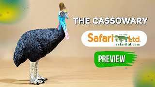 Safari Ltd Cassowary : Fast & Closer preview  😍