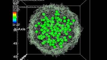 Osmosis simulation by SELM - number of solute particles = 135