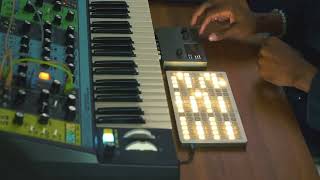 Hours From Now // Norns & Moog Matriarch ￼