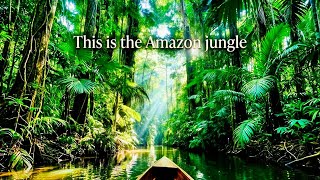 Inside the Amazon: The Most Dangerous Jungle on Earth🔥|The Amazon: A World Where Survival Never Stop