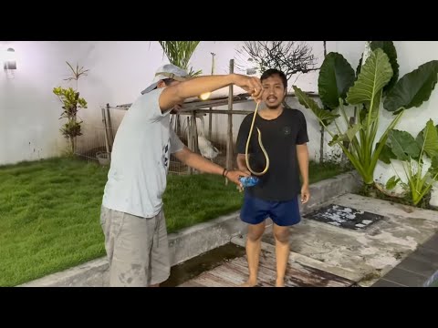 Tolong omah bolak-balek ditekani ulo | terimakasih baginda skc sang penakluk ular~ | udah 6x ada ula