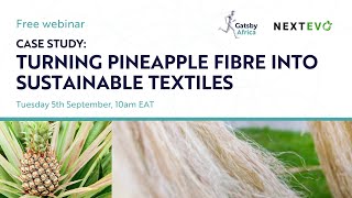Turning Pineapple Leaf Fibers into Sustainable Textiles