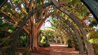 iPlanManagers - On-Time NDIS Payments - Brisbane Based Plan Manager