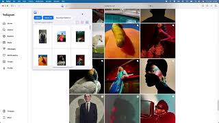 Image Picker - Download Web Images - Safari Web Extension screenshot 5