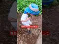 2歳と90歳!ある夏の日#Shorts#少年時代