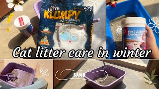 Why does my cat not use the litter box anymore || CAT LITTER BOX CARE IN WINTER