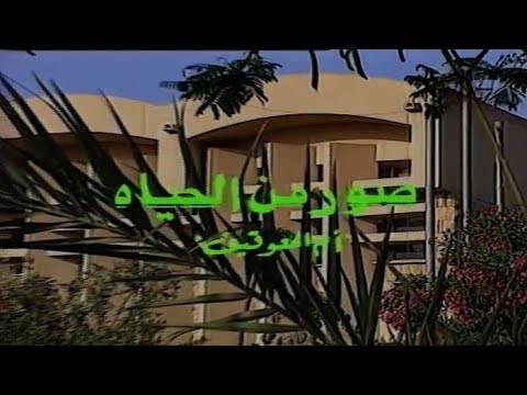 مسلسل صور من الحياة | الحلقة الثانية عشر