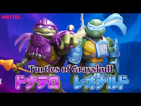 TMNT Toys] Review of Mattel's TMNT x MOTU Leonardo