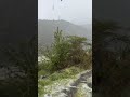 ابها الوادي الطالع ٥ مايو ٢٠٢٦