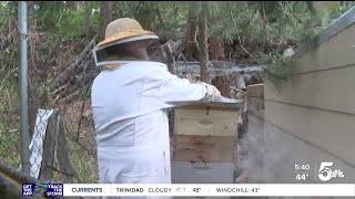 How raw, local honey stopped one beekeeper's family allergies