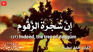 إن شجرة الزقوم طعام الاثيم 💔 تلاوة مؤثرة جدا
