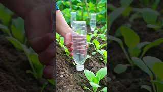 FIC421111423559mini rotary tillage and ridging all-in one trees, plants short #travel#beach #flowers FIC421111423559mini rotary tillage and ridging all-in one trees, plants short #travel#beach #flowers