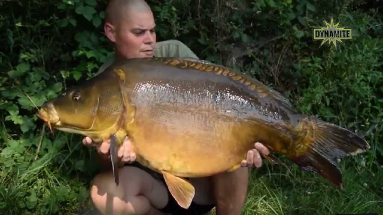 Au fil des saisons - Volume 1