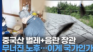 수앤스)벌레도 중국에서 / 부동산 계급론 / 441억 부자 장관이 음란 유포 죄 / 비참한 노후 / 도시농부(2025.07.03)