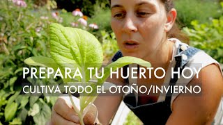 Clase Práctica de cómo empezar/cambiar a Huerto de Otoño | Abundancia todo el Año