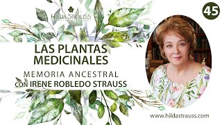LAS PLANTAS MEDICINALES - English Subtitles
