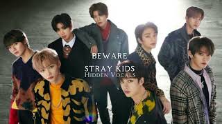 Beware - stray kids (Hidden vocals)