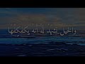 من تجميعات شعر خليل البلوشي