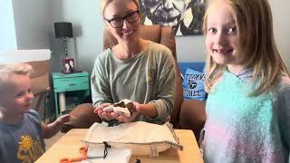 Unboxing Ball Python - Female Piebald