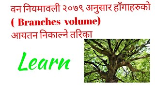 How to calculate the volume of branches? PART:2