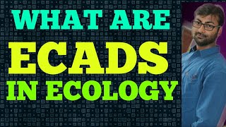 Ecads Ecophenes With Example Ecology