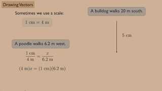 (Introduction to Physics) Drawing Vectors
