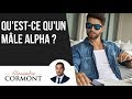 Quest ce quun mle alpha et comment le devenir 