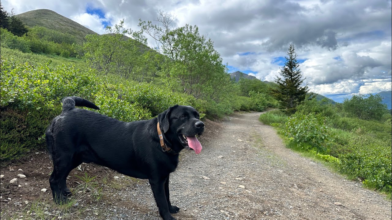 Hmong alaska taug kev.. South Fork valley hike, eagle river alaska