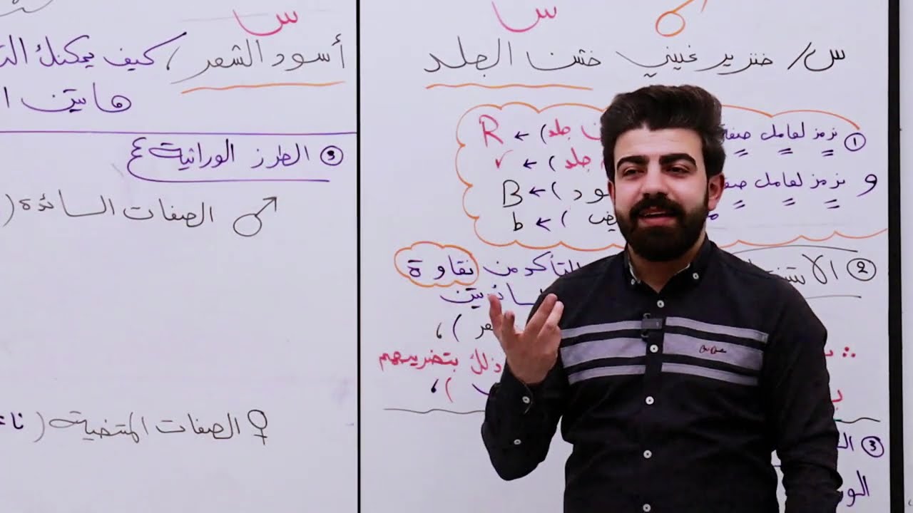 الوراثة ( الفصل الخامس ) المحاضرة 14 | التضريب الاختباري لصفتين و التضريب الرجعي لصفتين