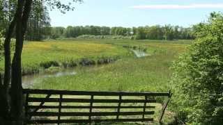 Hondsrug Video 2013 Senior