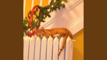 Decorate the Cat