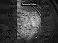 Paradoxical Notion