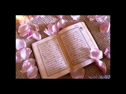 الجزء الثالث والاخير حفل ختام الاذاعة المدرسيه لحملة لكي يورق الغصن في م12