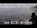 ЭТА РЫБАЛКА НА НАЛИМА ЗАПОМНИТСЯ НА ВСЮ ЖИЗНЬ