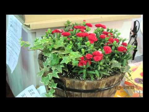 [everysing] 정말 좋았네