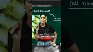 Class Cancel Honi Ki Mannat 🎀🔥|| #physicswallah #class10th #pw #babuasir #sscgd #cgl #shorts