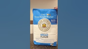 Day 1: Sourdough Starter for Beginners🍞 #sourdoughstarter #sourdoughforbeginners