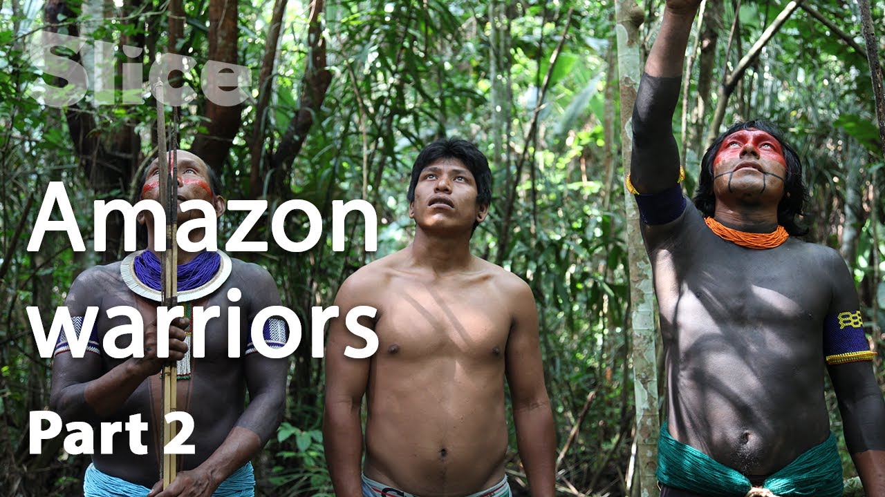 The Kayapós attack the wasps’ nest I SLICE