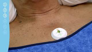 LEAF◊ System Instructions