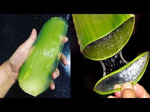 How to Use Aloe Vera to Treat Diabetes | Cure For Diabetes