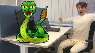 Coding snake in 5 minutes with Javascript