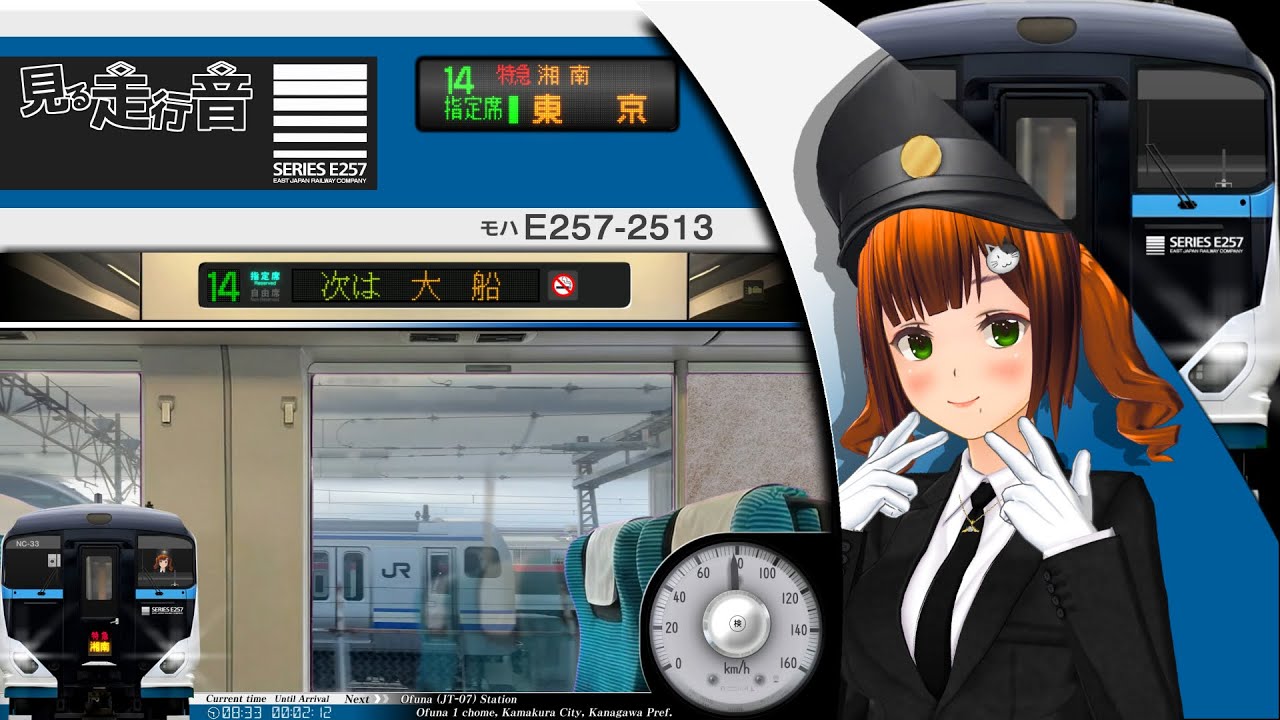 【見る走行音】東海道本線 E257系2500番台 小田原駅〜東京駅［特急 湘南12号 2022.1］