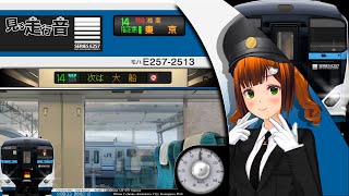 【見る走行音】東海道本線 E257系2500番台 小田原駅〜東京駅［特急 湘南12号 2022.1］