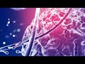 Classification of Enzymes/simple way/#biogyaanbyArati/#science#biology