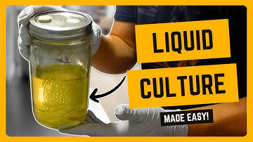 How to Make Liquid Culture for Mushroom Cultivation