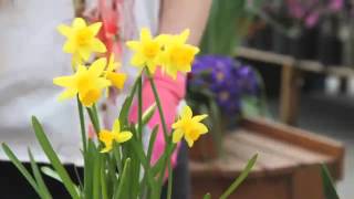 Delightful Hostess Gifts for Easter