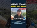 油断禁物！アブラムシ対策 家庭菜園で使える最強の処方