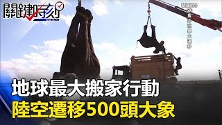 直升機觀測？樹枝塞象鼻？「地球最大搬家行動」陸空遷移500頭大象！關鍵時刻20170706-2 朱學恒 劉燦榮 馬西屏