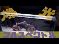 【フルスペクトルLEDとは？】水草も熱帯魚も映える！おすすめ水槽ライトを徹底解説